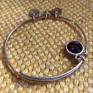 Alex and Ani- February birthstone bracelet